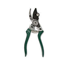 Rosenschere Rose Pruner