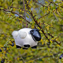 Nestbauhilfe Schaf Woolie