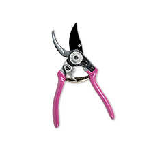 Gartenschere Sommeraster mit Holster