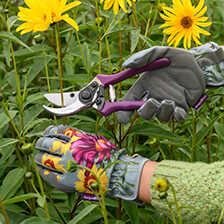 Gartenschere Sommeraster mit Holster