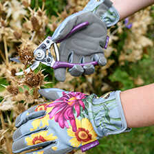 Gartenhandschuhe Sommeraster
