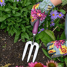 Garten-Geschenkset Schaufel & Gabel Sommeraster