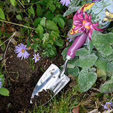 Garten-Geschenkset Schaufel & Gabel Sommeraster