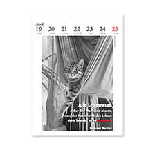 Alernatives Thumbnail 1 zu Literarischer Katzenkalender 2027