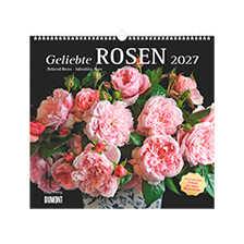 Kalender Geliebte Rosen 2027