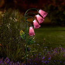 Solarblume Fingerhut