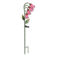 Solarblume Fingerhut
