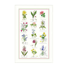 K�chentuch mit botanischen Illustrationen im Vintage Style