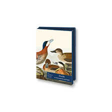 Briefkarten-Set