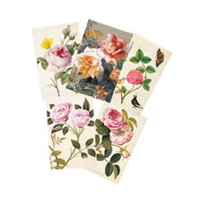 Grußkarten-Set mit englischen Rosen