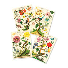 Briefkarten-Set mit Blumen