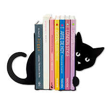 Thumbnail zu Buchst�tzte Hidden Cat zwei Teile