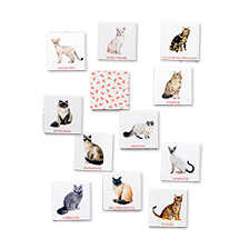 Katzen Bingo