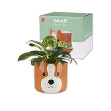 Thumbnail zu Keramik-Blumentopf in Hundeform