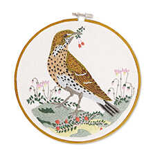 Alernatives Thumbnail 2 zu Stickset Singdrossel