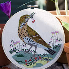 Alernatives Thumbnail 4 zu Stickset Singdrossel