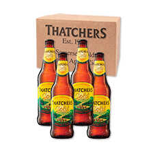 Cider Thatchers Gold aus Somerset