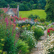 Romantische Gartenreisen in England von Anja Birne