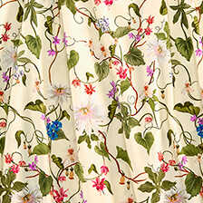 Alernatives Thumbnail 3 zu Blumen-Rock Botanic Garden