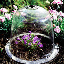 Viktorianische Pflanzglocken im 3er-Set